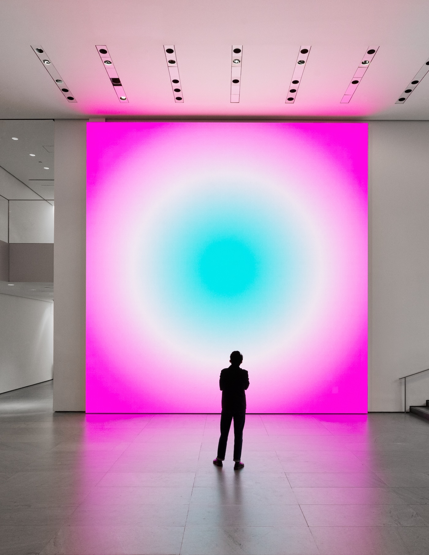 Work by Rafaël Rozendaal