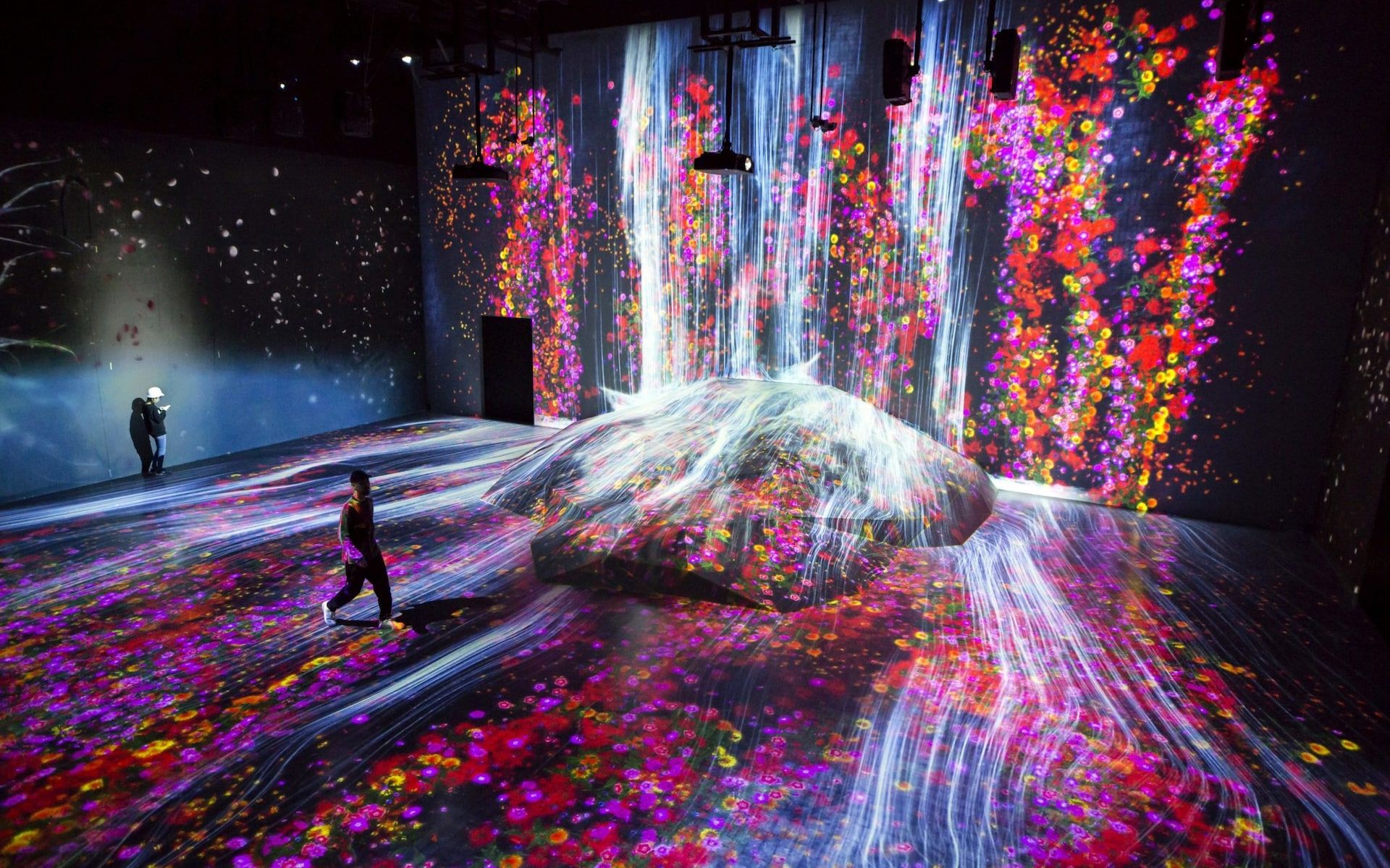 Work by teamLab